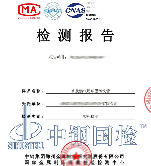 長輸管道檢測報告