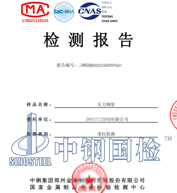 水電站壓力鋼管檢測(cè)報(bào)告